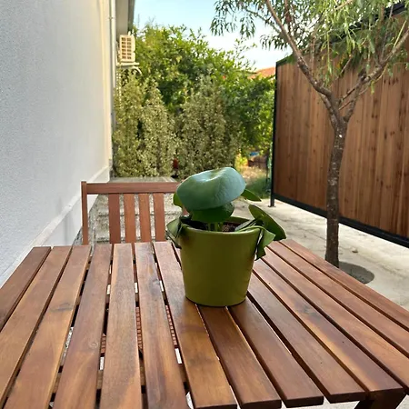 Lemon Breeze In Villa Shkodër